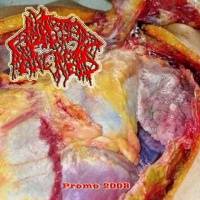 Blasted Pancreas : Promo 2008